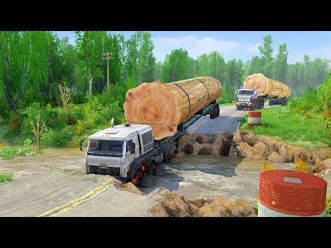 Top Logging Expert Reveals Hidden Dangers in Route Planning