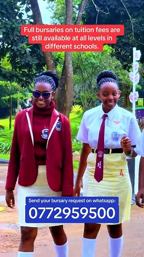 Full Bursaries Available for Back to School