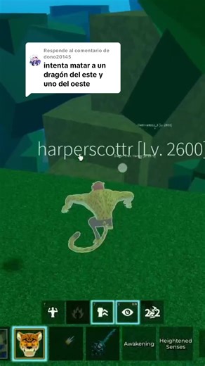 Respuesta a @dono20145 @Dono #fyp #momos #bloxfruits #robloxfyp #humor