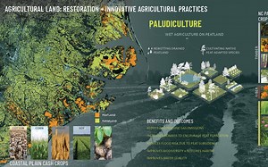 我花60分钟用InDesign学会了作品集排版