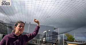 ‘We can’t keep up’: Hundreds of birds dying in commercial netting