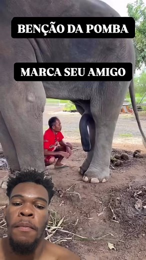 7.3K views · 4.8K reactions | Josu React on Reels | Facebook