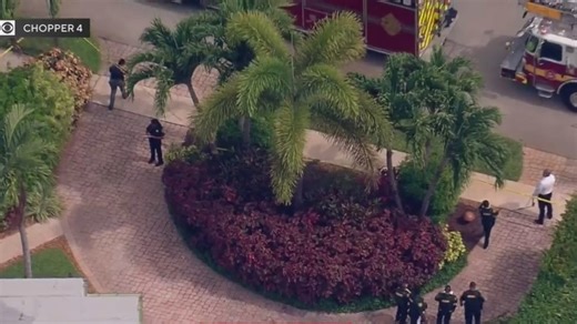 Tree trimmer electrocuted in Oakland Park