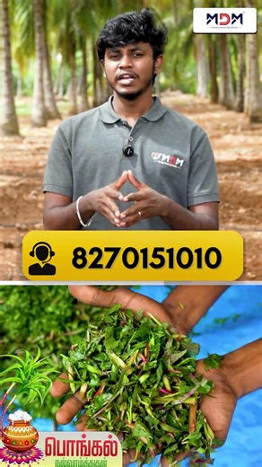 Chaff Cutter-ல் ஒரு புரட்சி | சீனாவிற்கு சவால் விடும் நிறுவனம் | Chitti 4f multipurpose Chaff Cutter