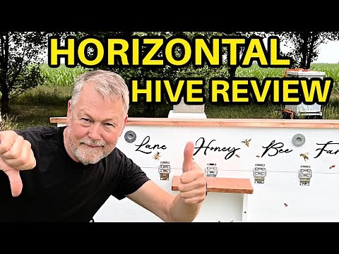 Beekeeping | Pros & Cons Of Horizontal Hives? Who Made This?