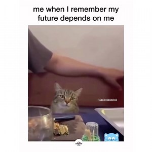 162K views · 6.6K reactions | 凉 | Light Witch Tarot LLC | Facebook