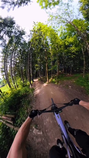 Just love nature so much had to give it a hug 🥲 Seriously though, how good is wide-shot footage, shredding through a forest? We need more please 🍽️ 📸 @amar.jsc with Insta360 X4 #Insta360 #Insta360X4 #mtb #bikerlifestyle #biker #pov #videography | Insta360