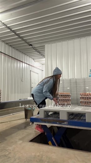 12 weeks left with this flock. They’ve truly done so amazing. Thank You, Lord, for every blessing. #fyp #farmtok #chicken #chickentok #arkansas