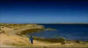 Sir Galahad (L3005) Explained | The British Falkland Islands & British Military