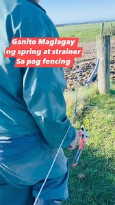10K views · 235 reactions | Fencing #wirefence #fences #fencing #fencingstyleinnewzealand #fencinglife #dairyfarming #dairyfarminglife #pinoydairyfarmer #dairyfarmer #farming #pinoy | Kapangarap vlog New Zealand | Facebook
