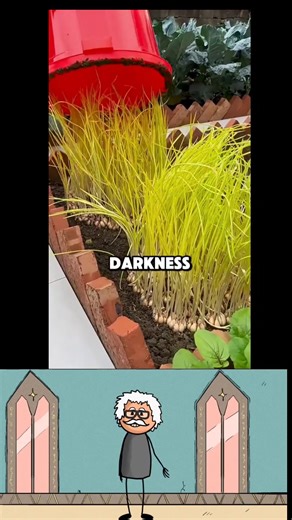 Feed your brain. Challenge your mind. Brainystein — turning curiosity into knowledge, and knowledge into power. 🧠⚡ #brainystein #fbreelsfypシ゚viralfbreelsfypシ゚viral | Brainystein