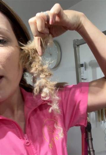 The Reality of Dog Grooming: Comfort Over Appearance