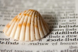 Cuatro herramientas básicas para filtrar y procesar texto en línea de comandos: sed, grep, cat y awk