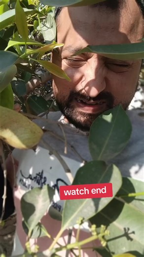 Amzon ka jungle 🥲