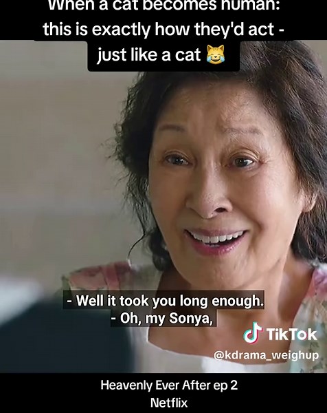 When a Cat Becomes Human in Heavenly Ever After