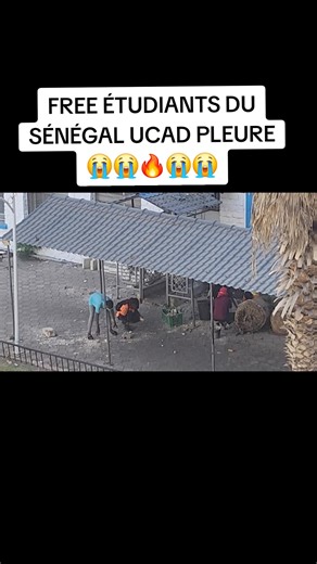 #StopRépression #JusticePourLesÉtudiants #FreeEtudiantsDuSénégal #NonAuxLacrymogènes #UCADEnColère