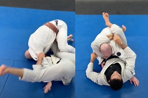 Like Spider Guard? Then you'll LOVE Tarantula Guard
