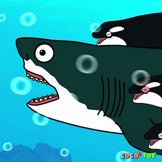 Cheeky baby orcaㅣwhales & sharks for kidsㅣCoCosToy