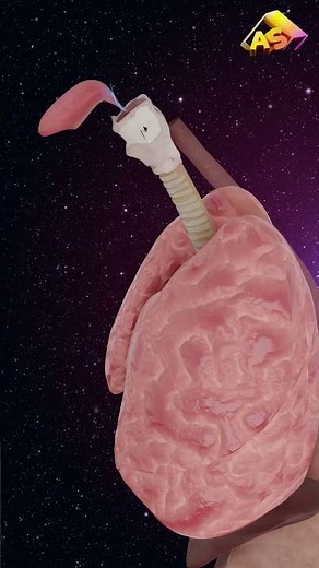 Swallowing Down The Wrong Pipe 😟 || 3D ANIMATION || #shorts #3d #3danimation
