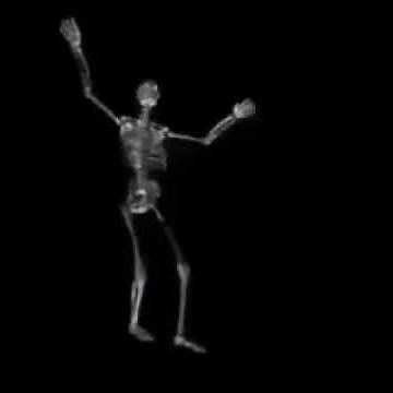 Spanish skeleton explaining the universe