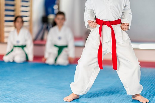 Martial Arts Student Insurance, Licensing & Membership Combined From A Leading UK Martial Arts Association - British Martial Arts & Boxing Association (BMABA) For Clubs & Instructors