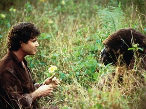 Congo - Apple TV (UK)