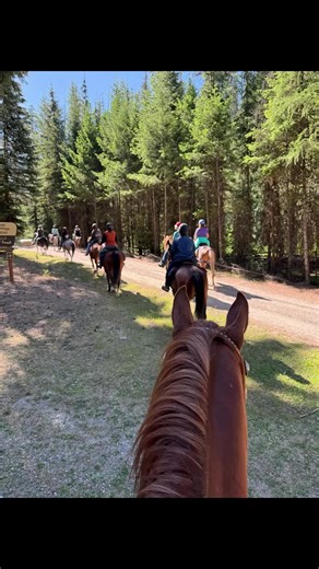 Ferry County Backcountry Horsemen Ride Weekend Highlights