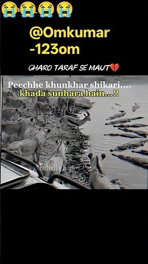 Charo taraf se maut #animalshorts