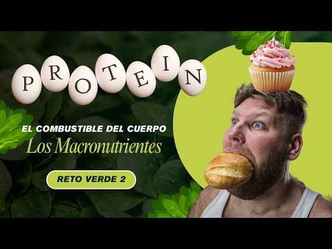 El Combustible del Cuerpo: los Macronutrientes