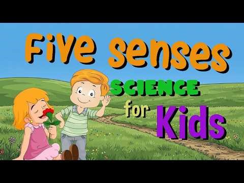 Five Senses | Science for Kids