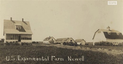 Newell Experimental Farm | Dakota Life