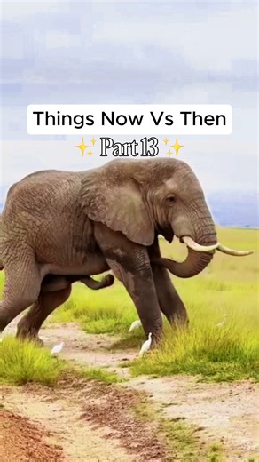 How Things Look Now vs Then  Part 13 #thenvsnow #viralvideotiktok #backthen #nowvsthen #interestingfacts #viraltiktokvideo #thenvsnowchallenge #interesting #incredible #knowledge #fypusa #learnontiktok | Unseen World | Facebook