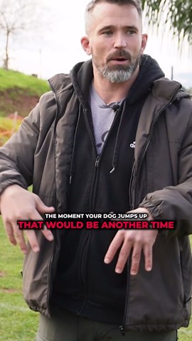 Can Negative Punishment Really Make Your Dog Smarter?