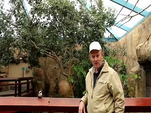 People vs Birds Compilation  (VIDEO)