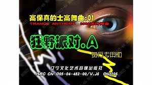 【群星】《高保真DISCO1》（DVD）