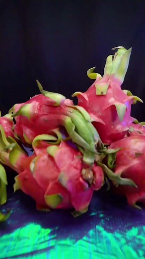 Making Lipstick with Dragon Fruit Extract