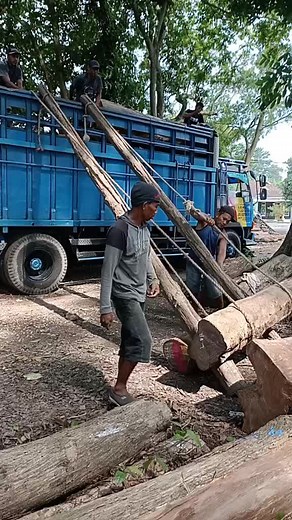 Log Loading Process on a Blue Truck