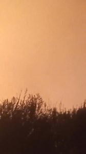 21K views · 295 reactions | URGENT – Incendie en cours sur les hauteurs d’Akbou ! Les flammes se propagent rapidement. | بجاية الجديدة | Facebook