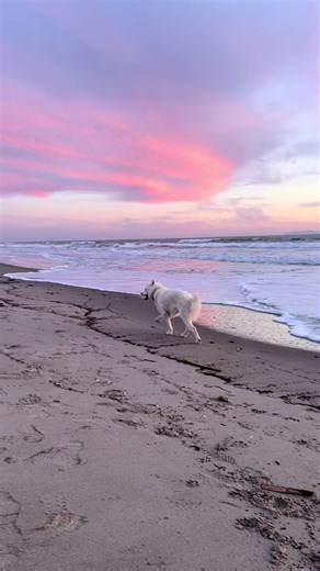 Strange is beautiful.