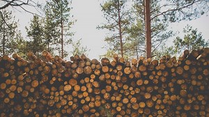 Forestry — Louisiana Ag in the Classroom