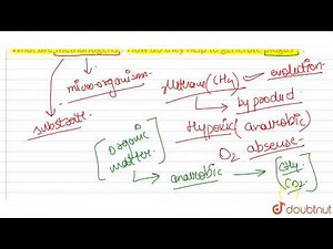 What are methanogens ? How do they help to generate biogas ?