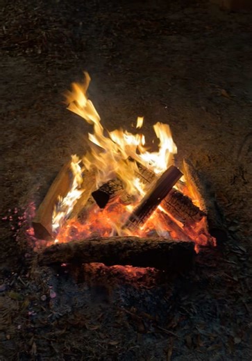 Camp fire skills are get’n good 🔥 🏕️ | catching fire