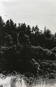 Carved Cross - Demo III