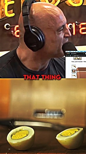 Joe Rogan Talks About Bug-A-Salt Gun