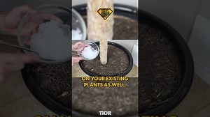Using diaper hydrogel to help plants retain moisture longer