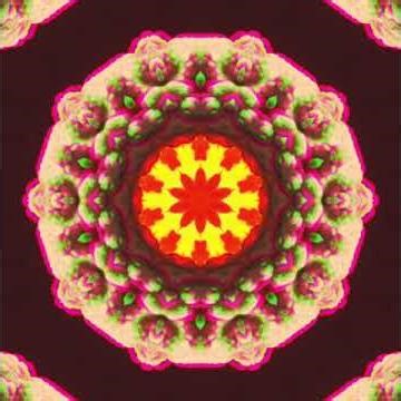 Blitz the dancefloor! #bigroom #edm #house