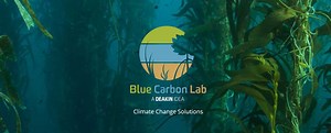 The Victorian Coastal Wetland Restoration Program - Blue Carbon Lab