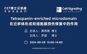 CST博士云讲座，专家讲座第三讲丨TEM在迁移体形成和细胞膜损伤修复中的作用