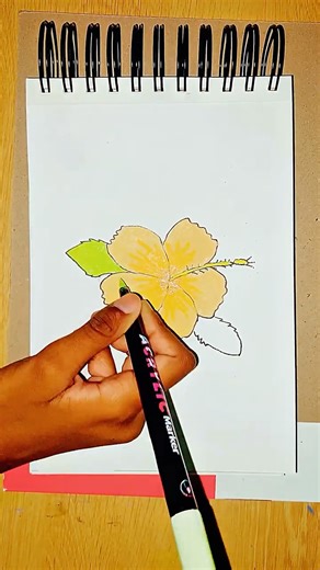 Drawing a Hibiscus 🌺 Flower | Watch Full Video