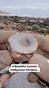 308K views · 3.4K reactions | Here’s an outstanding example of a...